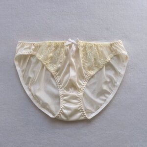 Sold Out! US-XL/JP-4L Japanese Lace Trim Embroidered Shiny Tricot Nylon Panties